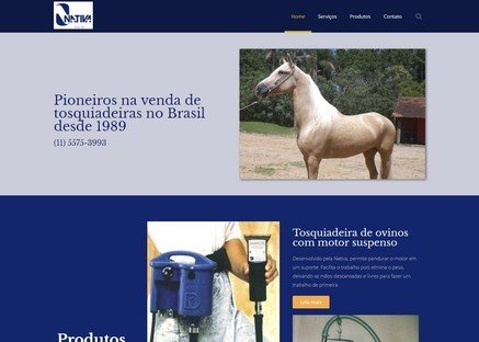 Cliente de Web Design - Nativa Tosqui